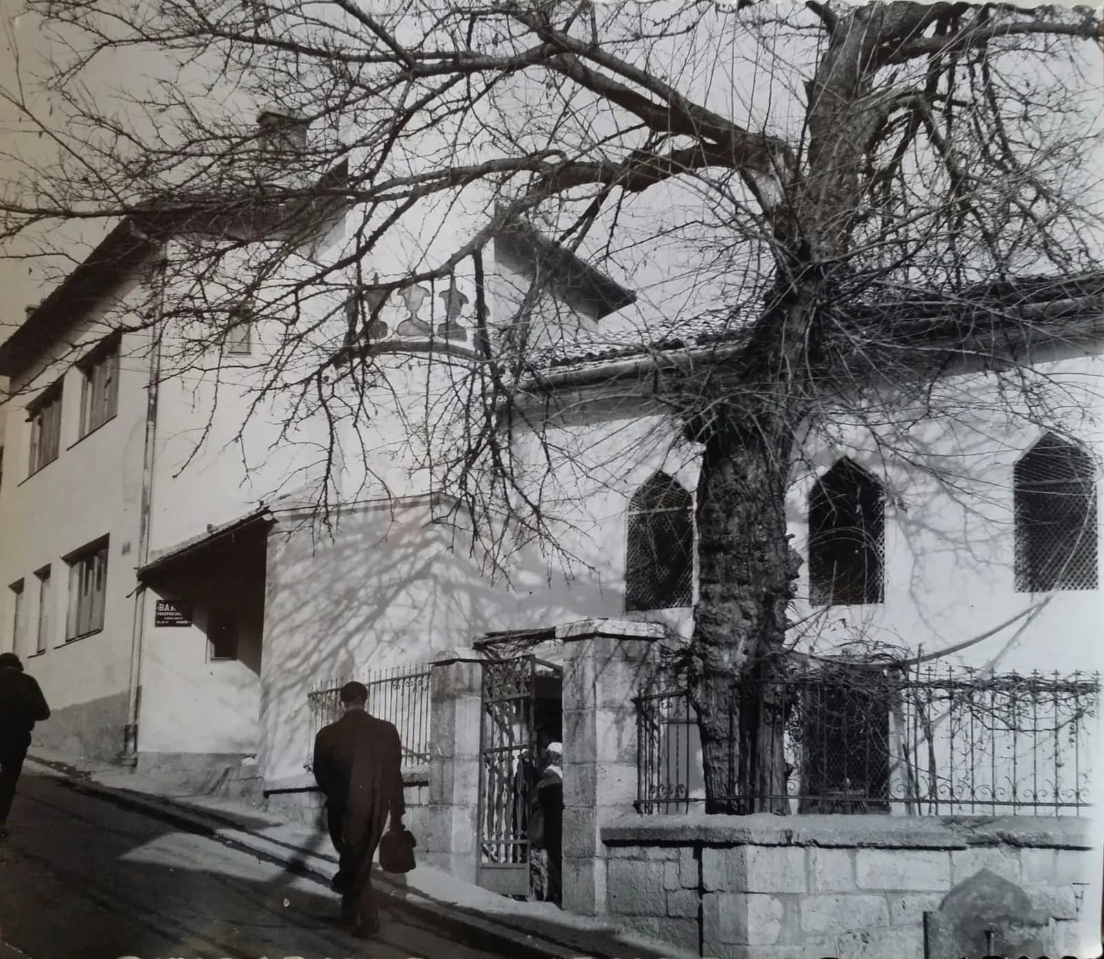 Ulaz u Bakijsku džamiju sa starim stablom, crno-bijela fotografija