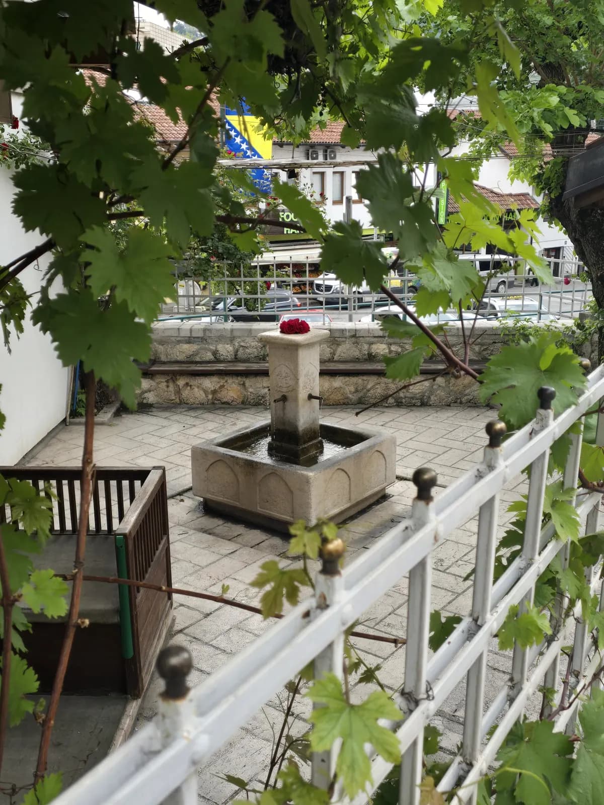 Harem sa šadrvanom i vinovom lozom