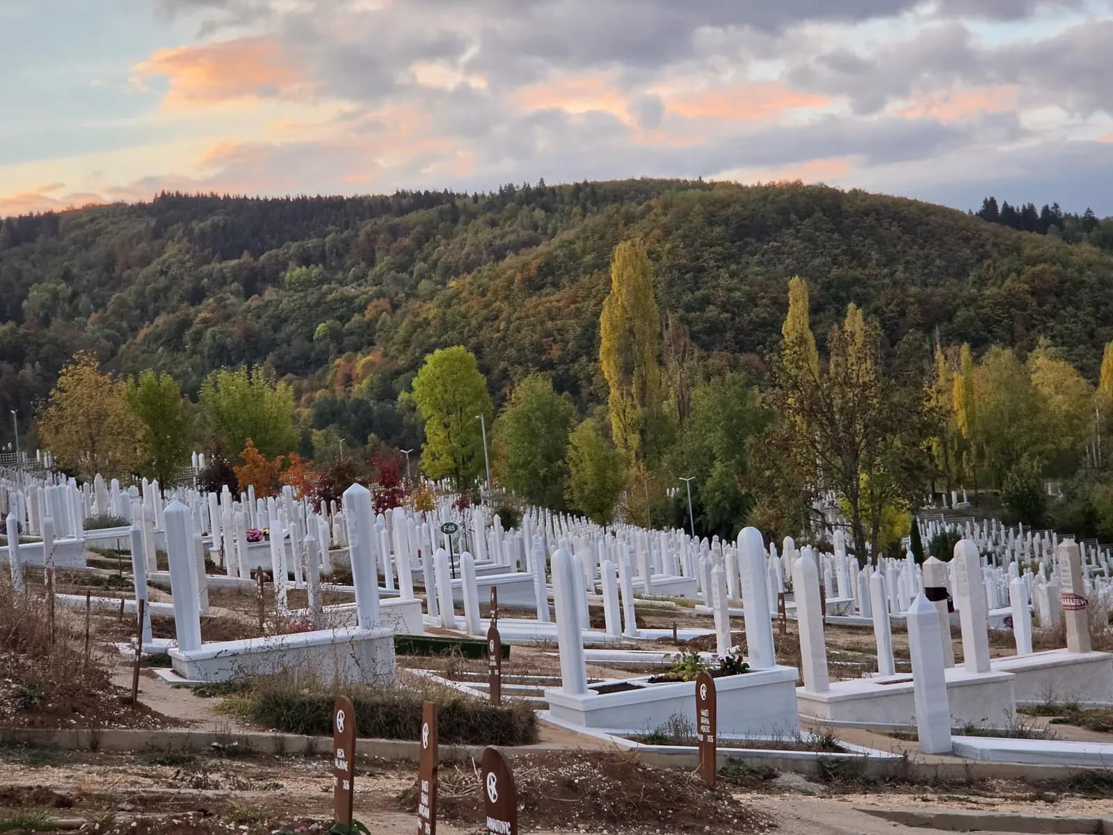 Mezaristan Faletići u jesen, okružen šumom