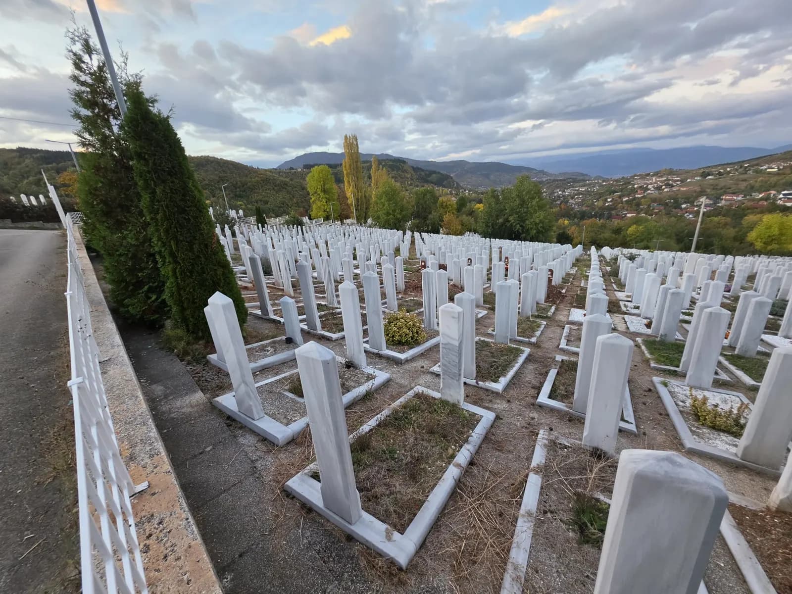 Redovi nišana uz ogradu i čempres na mezaristanu Faletići