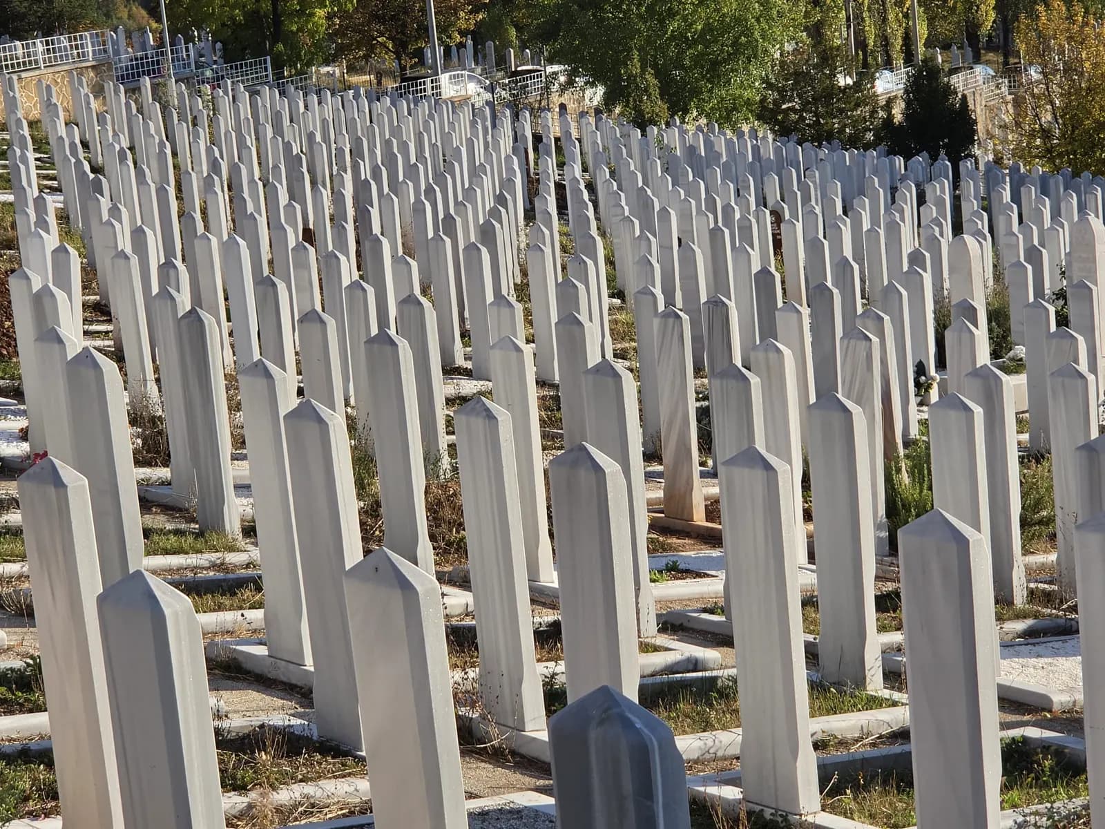 Gusti redovi bijelih nišana na mezaristanu Faletići