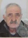ibisevic ragib
