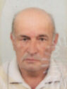 selimovic zijad