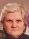 zejnilagic refija