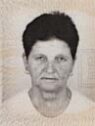 avdic safija