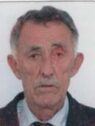 hasanovic ibrahim salke