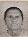 karamujic bida