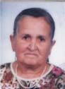 vejzagic dzemaila