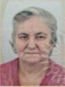 zametica fahrija