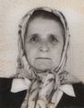 avdibegovic mevla