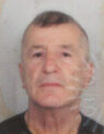 lacevic alija