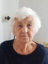 pijalovic azemina