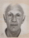 halilbasic enes