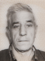 katovic ibro