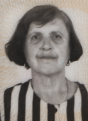 salkovic adila