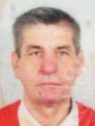 hadžajlić fikret hadžajlić fikret