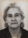 mešić hanifa mešić hanifa
