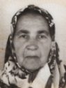 ziza hasković ziza hasković